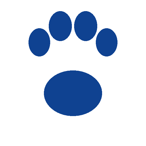 PetFLowVet
